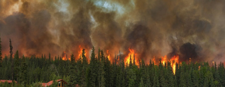 Alaska Wildfire – Insurance Claim Help