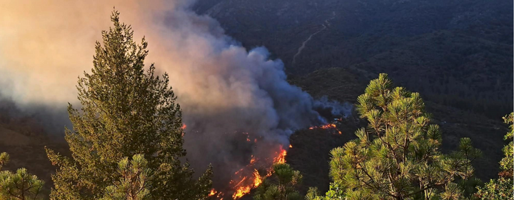 2022 California Wildfires – Insurance Claim and Recovery Help