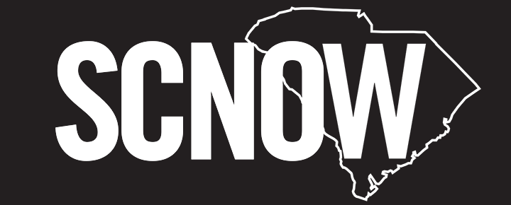 LA residents still battling toxic hazards a year after historic wildfires